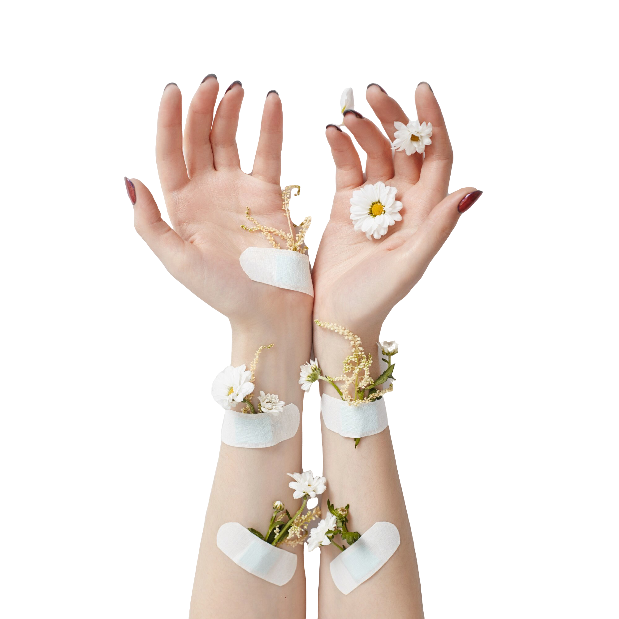 Lacrima Güzellik Salonu | Ankara Çankaya Güzellik Salonu | Ankara Çankaya Protez Tırnak | Ankara Çankaya Manikür | Ankara Çankaya Pedikür | Ankara Çankaya Kalıcı Makyaj | Ankara Çankaya Cilt Bakımı